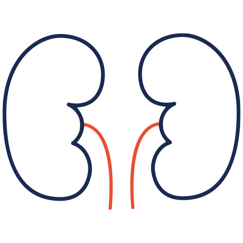 Urologie